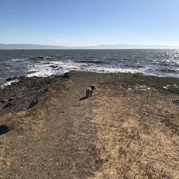 Hayward Regional Shoreline - Hiking Near Me - Hayward, California Hayward Regional Shoreline - Hiking Near Me - Hayward, California