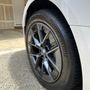Photo of Glossy Givings