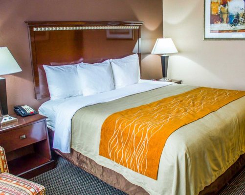 Comfort Inn Suites Jfk Airport 2019 All You Need To Know