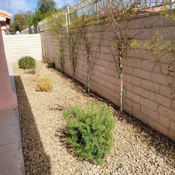 America's Gardening Services - Great job pruning! - Gardeners Near Me America's Gardening Services - Great job pruning! - Gardeners Near Me