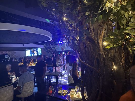 Capri Ristorante by null