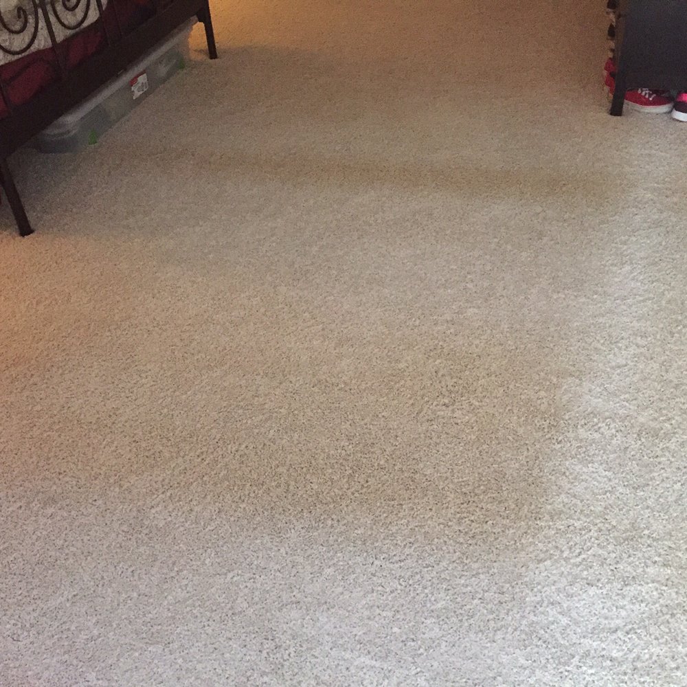 Spiker Carpet and Tile Care - Before, with dark brown "streak".... - Carpet Cleaning Near Me Spiker Carpet and Tile Care - Before, with dark brown "streak".... - Carpet Cleaning Near Me