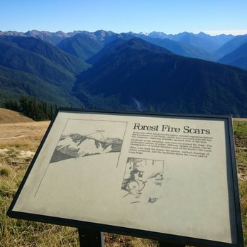 Olympic National Park - Parks Near Me - Port Angeles, Washington