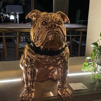 Toro Cabo - Guard dog. Those are dollars not pesos - Diners Near Me - Cabo San Lucas, BCS Toro Cabo - Guard dog. Those are dollars not pesos - Diners Near Me - Cabo San Lucas, BCS