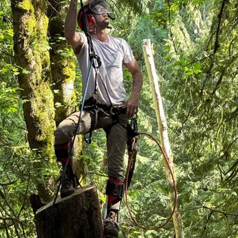 Mossy Tree Care - Where to next? - Tree Services Near Me - Portland, Oregon Mossy Tree Care - Where to next? - Tree Services Near Me - Portland, Oregon
