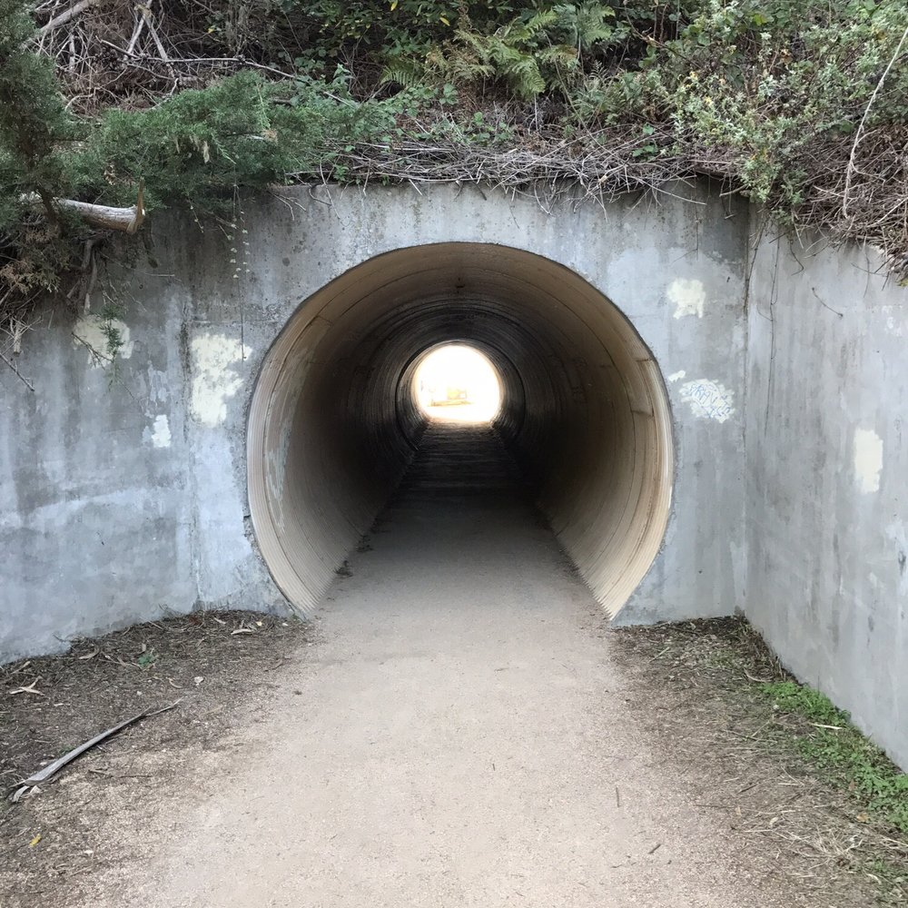 Julia Pfeiffer Burns State Park - Tunnel view - Parks Near Me - Big Sur, California