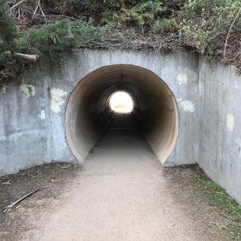 Julia Pfeiffer Burns State Park - Tunnel view - Parks Near Me - Big Sur, California Julia Pfeiffer Burns State Park - Tunnel view - Parks Near Me - Big Sur, California