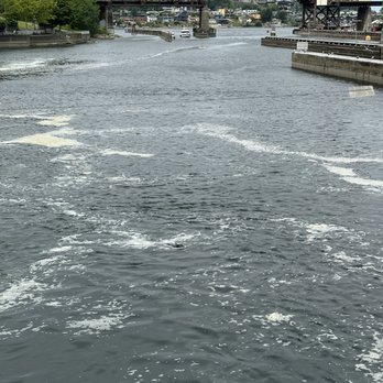 Hiram M Chittenden Locks - Spot the seal! - Landmarks & Historical Buildings Near Me - Seattle, Washington Hiram M Chittenden Locks - Spot the seal! - Landmarks & Historical Buildings Near Me - Seattle, Washington