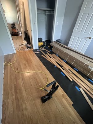 Carpet Removal and Pre-finish floor installation - This floor installation was done on a room with carpet, we removed the carped and put plywood on the floor, made sure everything was nice and installed the floor. Carpet Removal and Pre-finish floor installation - This floor installation was done on a room with carpet, we removed the carped and put plywood on the floor, made sure everything was nice and installed the floor.
