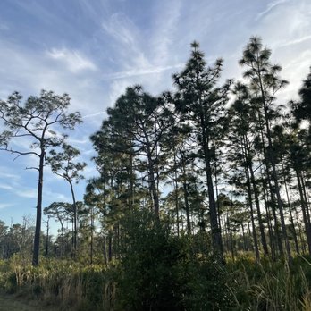 Upper Tampa Bay Trail - Hiking Near Me - Odessa, Florida Upper Tampa Bay Trail - Hiking Near Me - Odessa, Florida