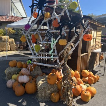 Moana Nursery - Landscaping Near Me - Reno, Nevada Moana Nursery - Landscaping Near Me - Reno, Nevada
