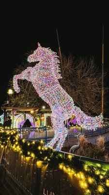 Elitch Gardens by null