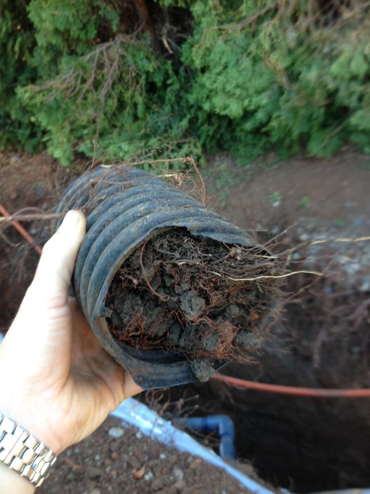 Slide of Mr. Rooter Plumbing of Albany