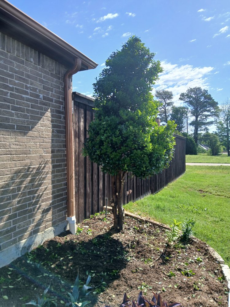 Slide of NTX Tree Service