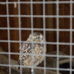 Yorkshire Wildlife Park