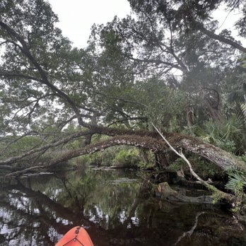 Chassahowitzka River Campground - Rafting/Kayaking Near Me - Homosassa, Florida Chassahowitzka River Campground - Rafting/Kayaking Near Me - Homosassa, Florida