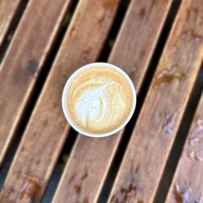 SIGNAL Coffee Roasters by null