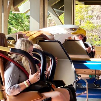 Wild Eagle - Love the design! - Amusement Parks Near Me - Pigeon Forge, Tennessee