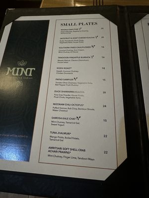 Mint Progressive Indian by null