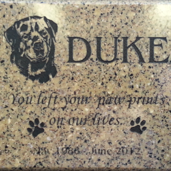 Engravex - Pet Memorials - Engraving Near Me - Abbotsford, British Columbia