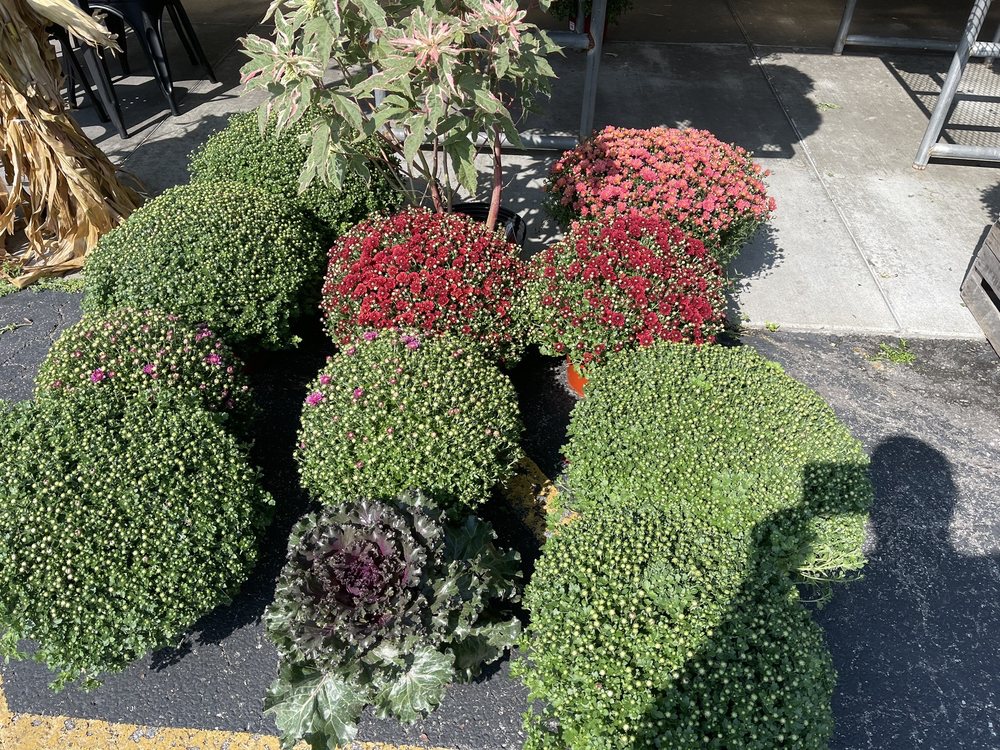 PAUL’S FRUIT MARKET 41 Photos & 43 Reviews 3704 Taylorsville Rd