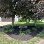 Photo of Cutter Fleet Lawn & Landscaping
