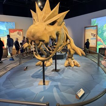 Field Museum - Museums Near Me - Chicago, Illinois