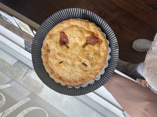 Nomadic Pies by null