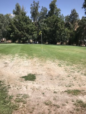 SHANDIN HILLS GOLF CLUB Updated March 2025 64 Photos 90 Reviews