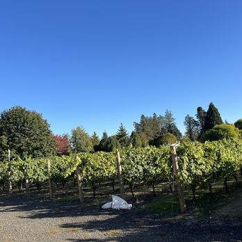 Redgate Winery - Wineries Near Me - Independence, Oregon Redgate Winery - Wineries Near Me - Independence, Oregon