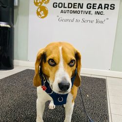 Golden Gears Automotive - Best mechanic shop in 20852