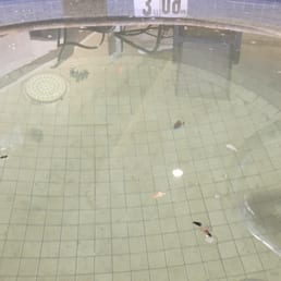 Cold hot tub with dead bugs with bigfoots stench. Cold hot tub with dead bugs with bigfoots stench.