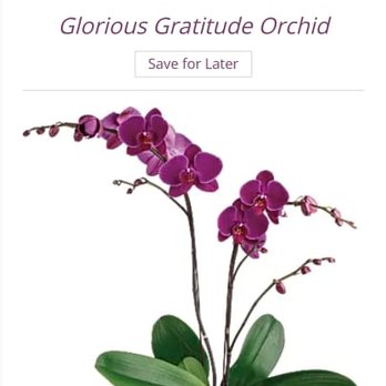 Redbud Floral - Florists Near Me - Norman, Oklahoma Redbud Floral - Florists Near Me - Norman, Oklahoma