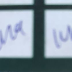 Kern Gardens 20 Cap