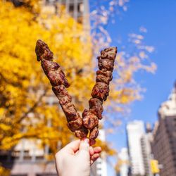 Tony Dragon's Grille - Marinated in Red Wine & Greek Herbs. Pork Souvlaki Skewers.