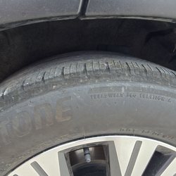 Avis - Bald rear riverside.