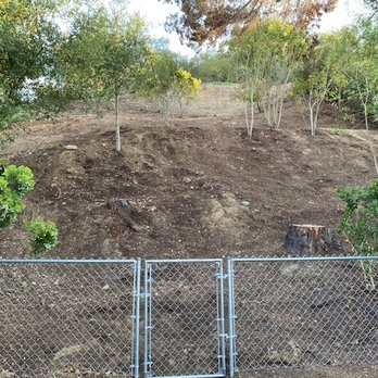 JJ's Landscaping & Tree Dominators - After. Yes, that's the same yard. - Tree Services Near Me - Ramona, California JJ's Landscaping & Tree Dominators - After. Yes, that's the same yard. - Tree Services Near Me - Ramona, California