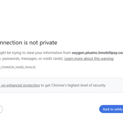 Oxygen Plus - I don't feel safe doing business with a company who's website's payment portal/bill pay leads to THIS