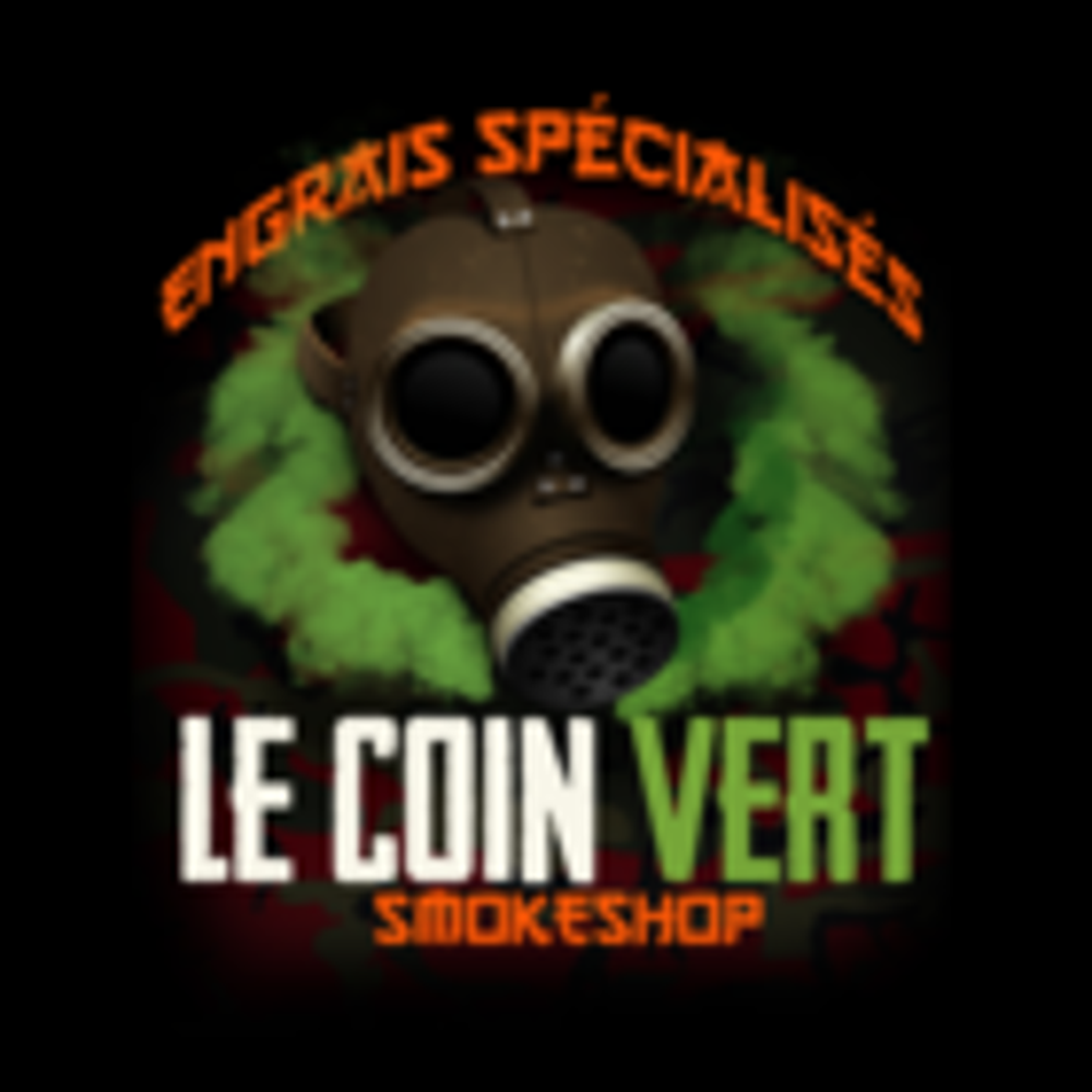 TOP 10 BEST Vape Shops in Montmagny, QC - Updated 2026 - Yelp