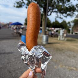 Erie County Fair - Fair classic (however it was underwhelming)
