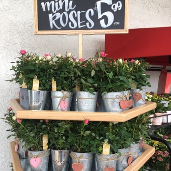 Trader Joe's - 2*13*19 getting ready for Valentine's Day - Grocery Near Me - Granada Hills, California Trader Joe's - 2*13*19 getting ready for Valentine's Day - Grocery Near Me - Granada Hills, California