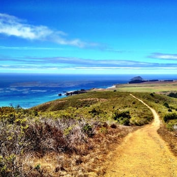 Andrew Molera State Park - Trail/hike from Andrew Molera State Park - Parks Near Me - Big Sur, California