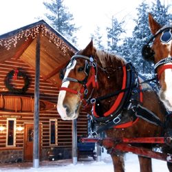 Making Memories Tours - Thundar Bay Resort