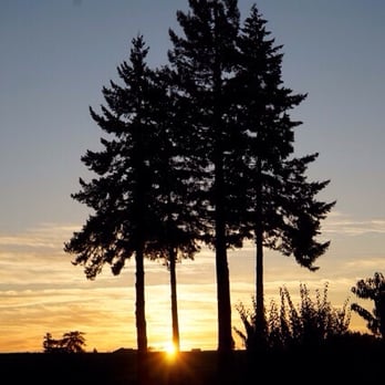 Oregon Woodsmen Tree Service - Tree Services Near Me - Rickreall, Oregon Oregon Woodsmen Tree Service - Tree Services Near Me - Rickreall, Oregon