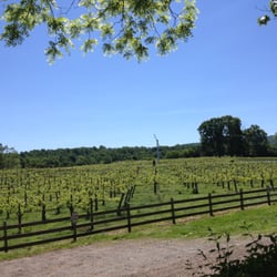 Burnley Vineyards