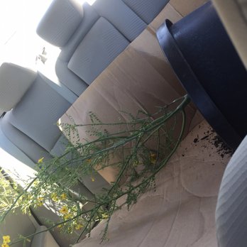 Curby's Nursery - Yay it fits!!! - Nurseries & Gardening Near Me - Temecula, California