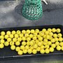 Photo of Harry Semrow Mini Golf And Driving Range
