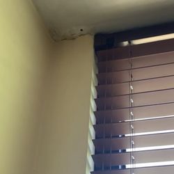 Niles Nursing & Rehabilitation Center - Water leaking from ceiling, mold