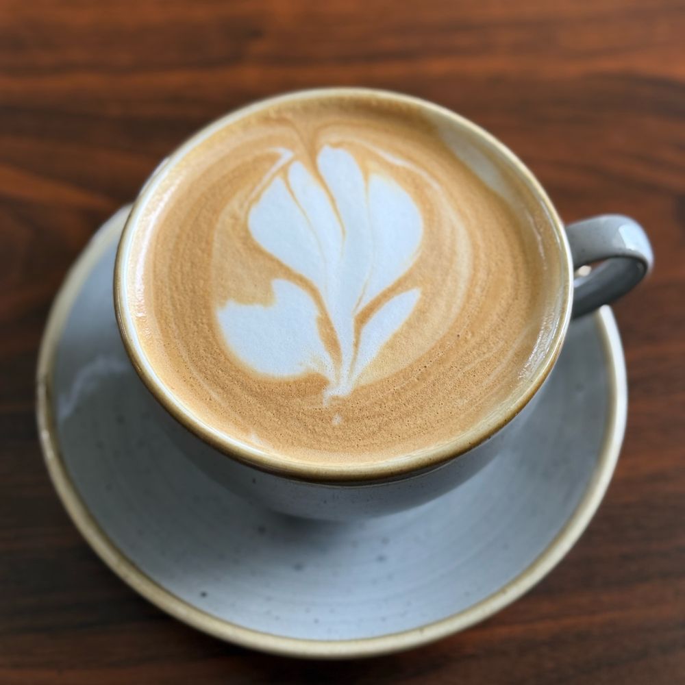 King William Coffee House - Vanilla Latte - Coffee & Tea Near Me - San Antonio, Texas King William Coffee House - Vanilla Latte - Coffee & Tea Near Me - San Antonio, Texas