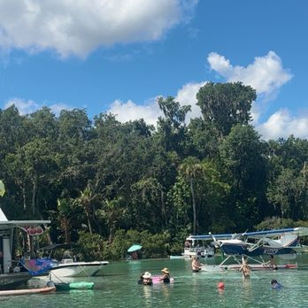 Silver Glen Springs - Parks Near Me - Salt Springs, Florida Silver Glen Springs - Parks Near Me - Salt Springs, Florida